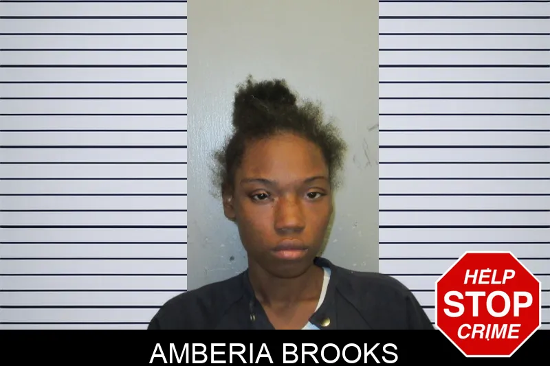 Amberia Brooks mugshot – Fulton County , Georgia Amberia Brooks mugshot