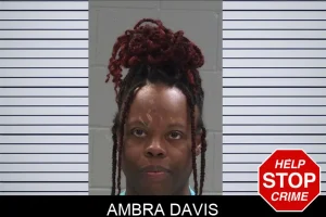 Ambra Davis mugshot