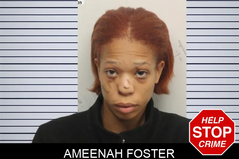 Ameenah Foster mugshot – Chatham County , Georgia Ameenah Foster mugshot