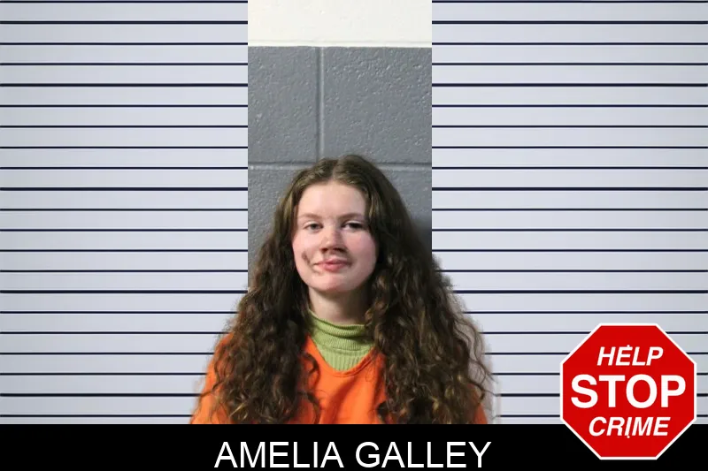 Amelia Galley