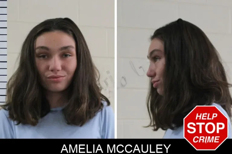 Amelia McCauley mugshot β Houston County , Georgia Amelia McCauley