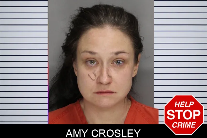 Amy Crosley mugshot