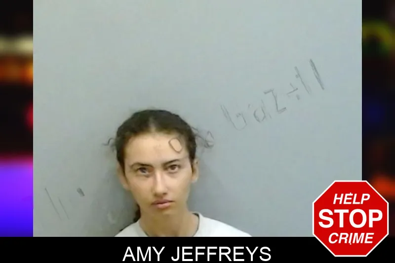 Amy Jeffreys mugshot – Fulton County , Georgia Amy Jeffreys mugshot