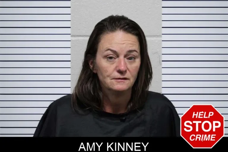 Amy Kinney mugshot – Habersham County , Georgia Amy Kinney