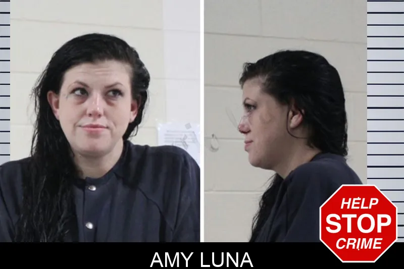Amy Luna Mugshots