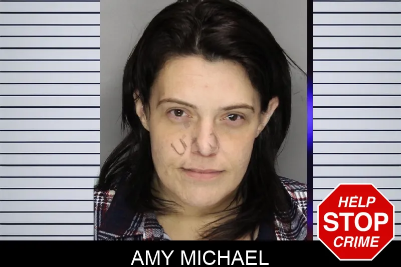 Amy Michael mugshot – Cobb County , Georgia Amy Michael mugshot