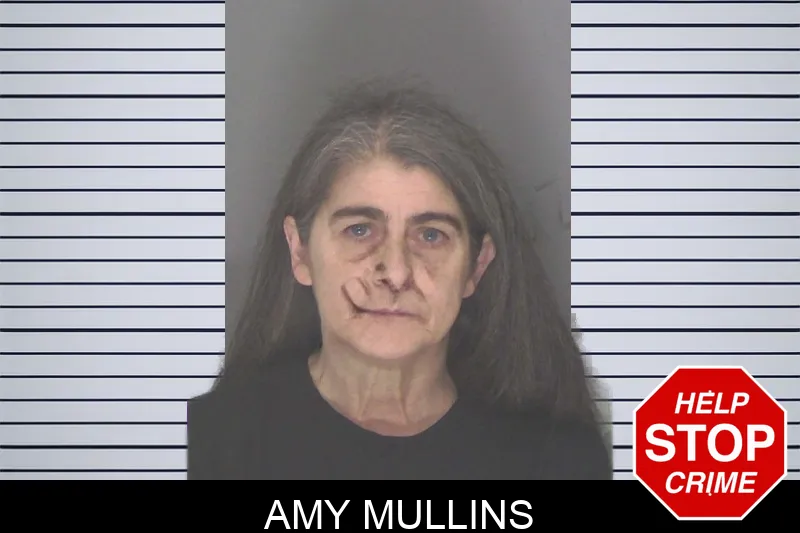 Amy Mullins mugshot – Douglas County , Georgia Amy Mullins mugshot