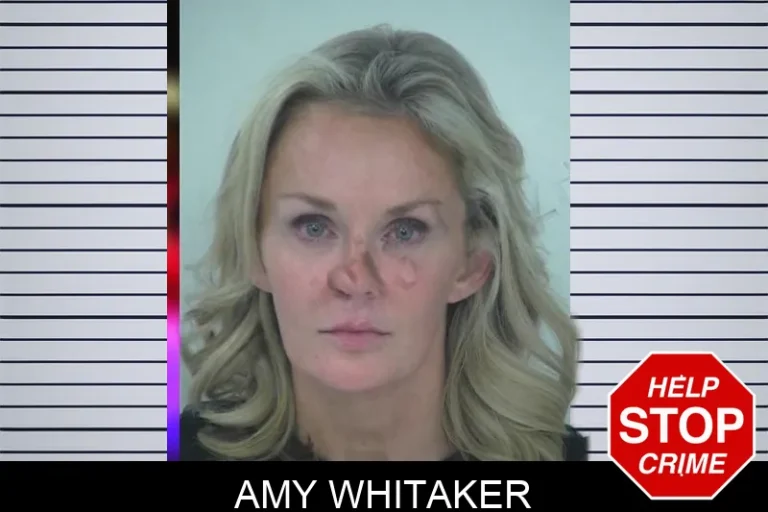 Amy Whitaker mugshot – Fayette County , Georgia Amy Whitaker