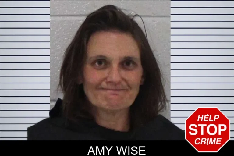 Amy Wise mugshot – Carroll County , Georgia Amy Wise