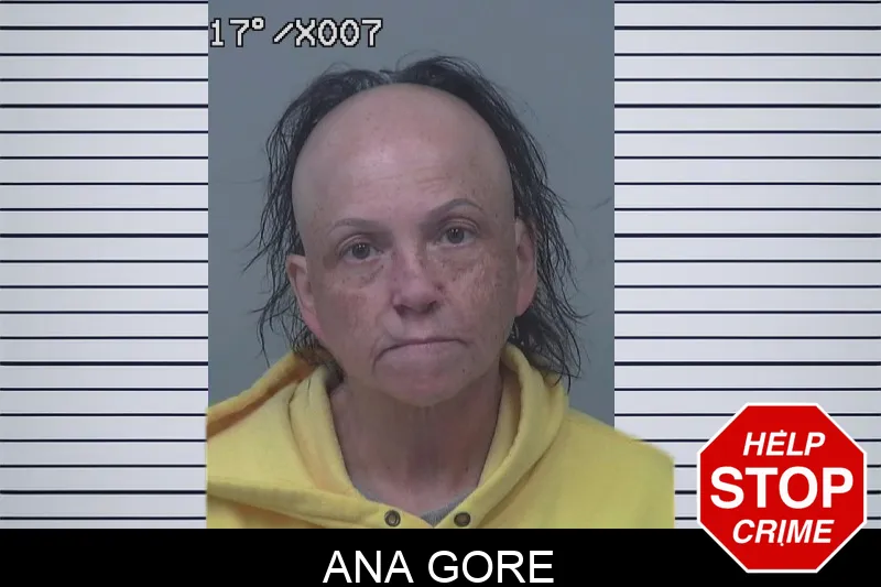 Ana Gore mugshot