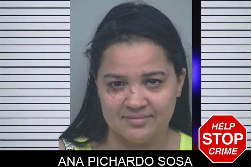 Ana Pichardo Sosa mugshot – Gwinnett County , Georgia Ana Pichardo Sosa mugshot