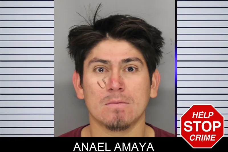 Anael Amaya Mugshots