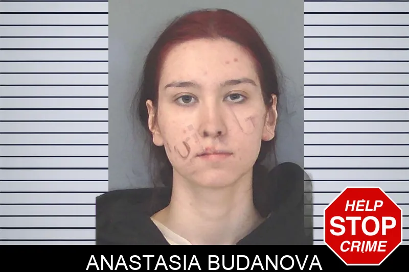 Anastasia Budanova Mugshots