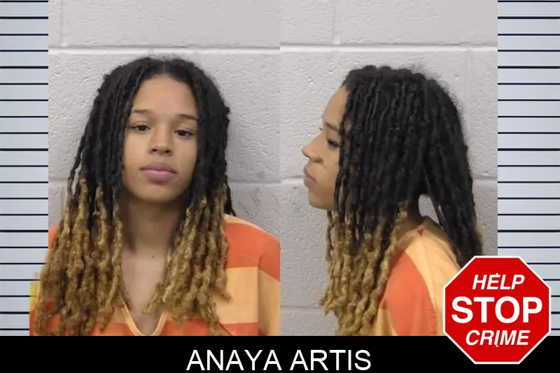 Anaya Artis Mugshots
