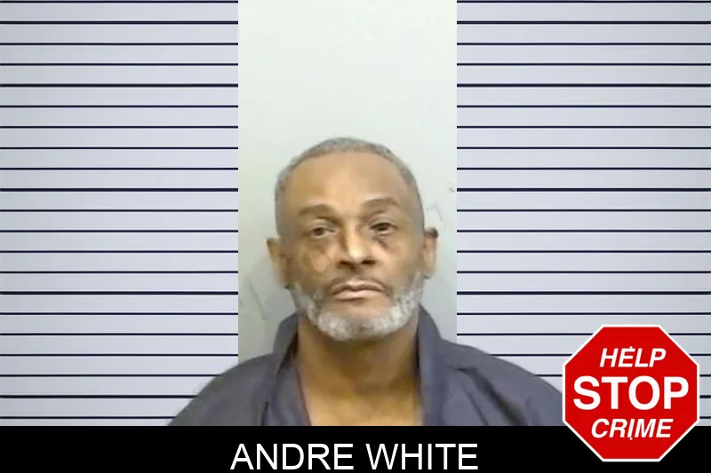 Andre White mugshot