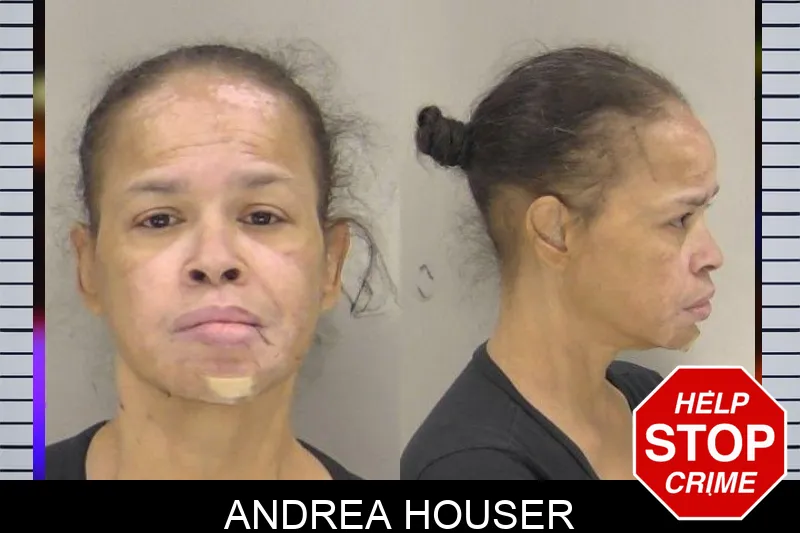 Andrea Houser Mugshots