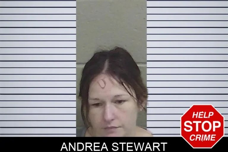 Andrea Stewart mugshot – Wayne County , Georgia Andrea Stewart