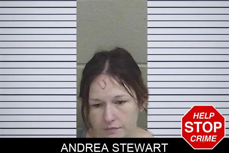 Andrea Stewart Mugshots
