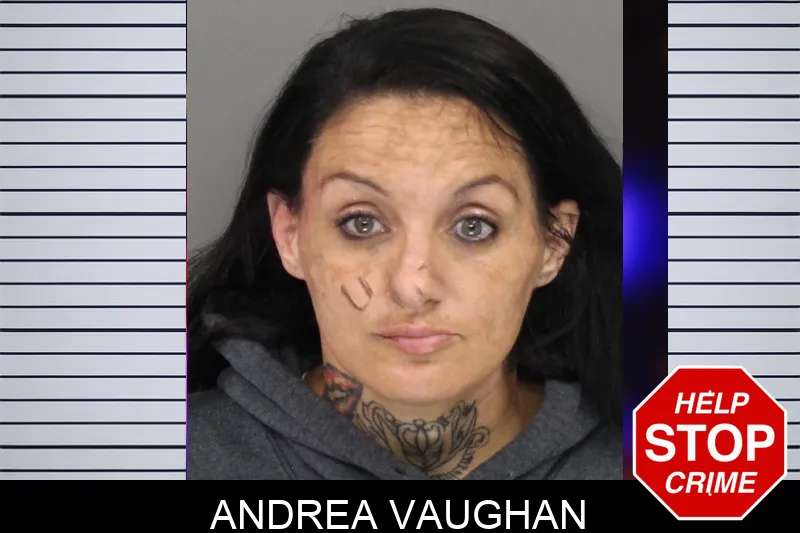 Andrea Vaughan mugshot – Cobb County , Georgia Andrea Vaughan mugshot