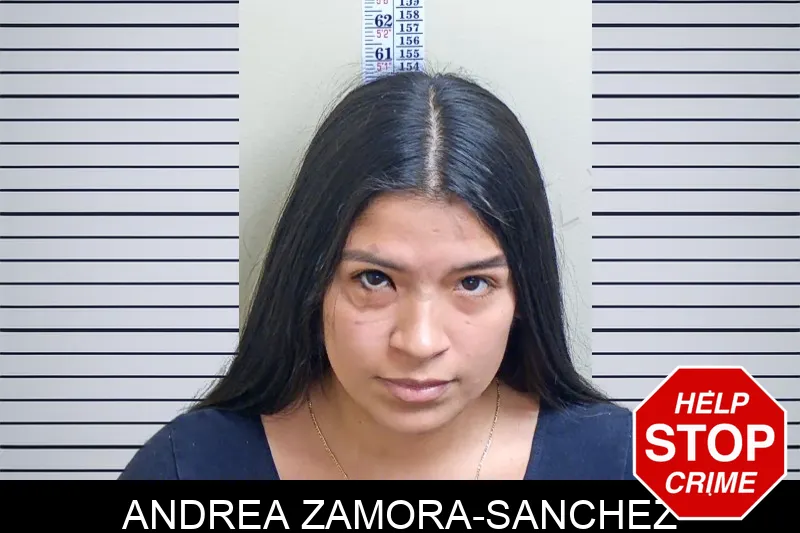 Andrea Zamora-Sanchez Mugshots