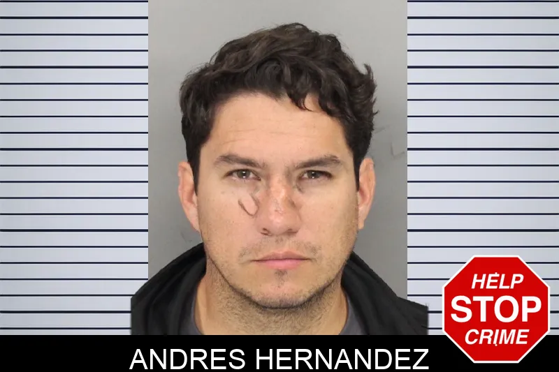 Andres Hernandez mugshot