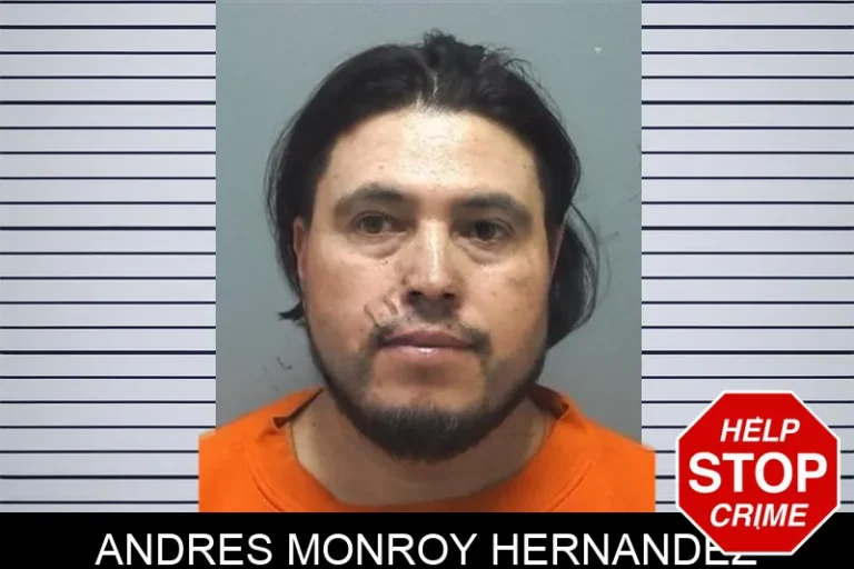Andres Monroy Hernandez