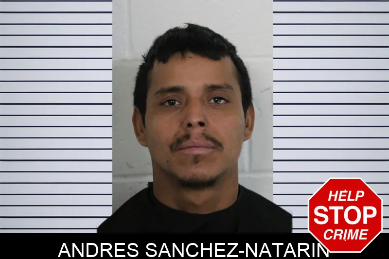 Andres Sanchez-Natarin Mugshots