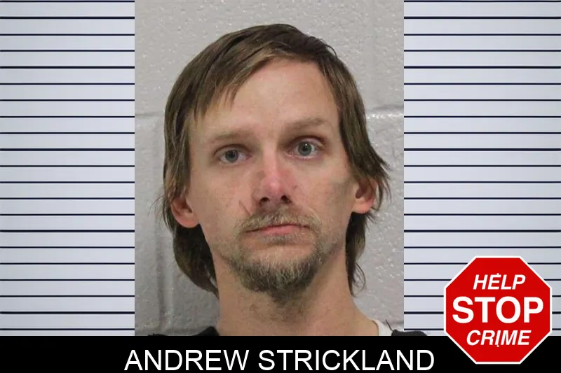 Andrew Strickland mugshot – Carroll County , Georgia Andrew Strickland mugshot