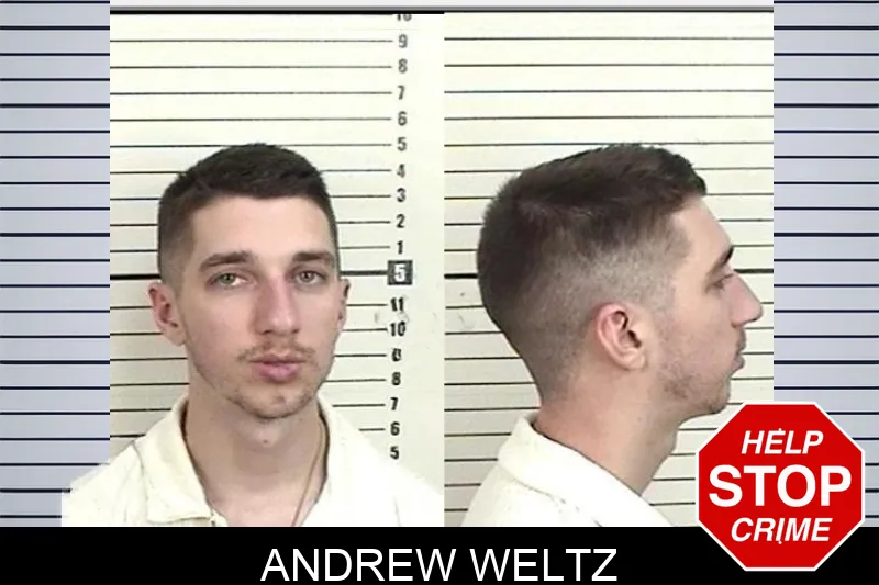 Andrew Weltz mugshot – Camden County , Georgia Andrew Weltz mugshot