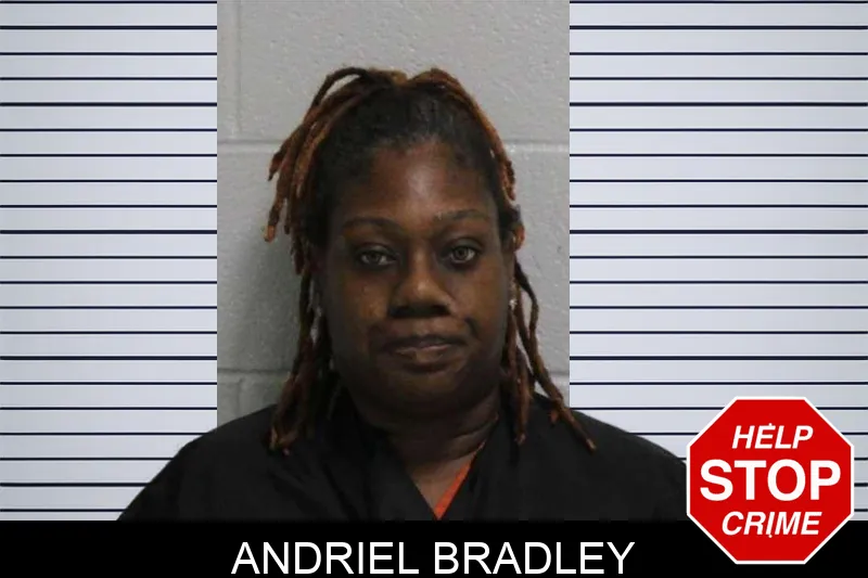 Andriel Bradley Mugshots