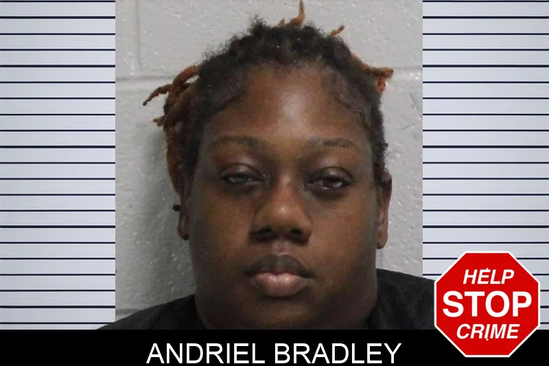 Andriel Bradley Mugshots
