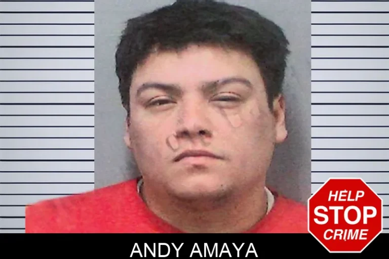Andy Amaya