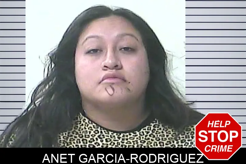 Anet Garcia-Rodriguez Mugshots