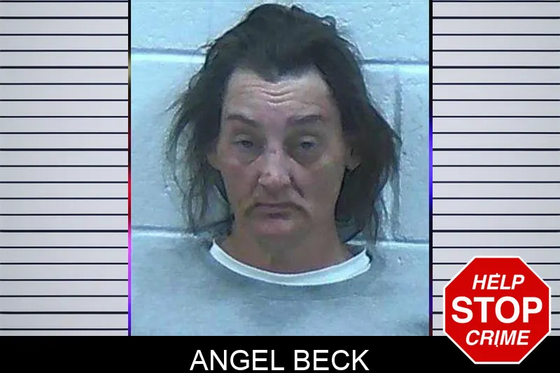 Angel Beck Mugshots