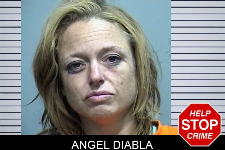 Angel Diabla mugshot – Effingham County , Georgia Angel Diabla
