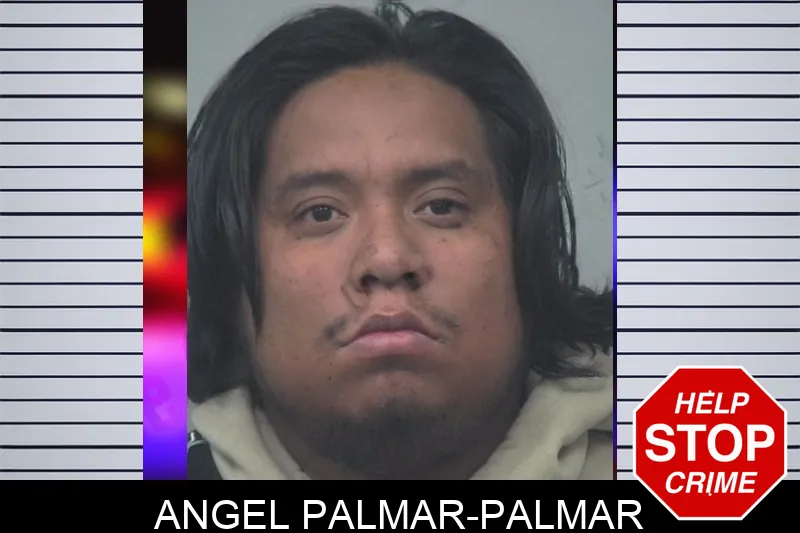 Angel Palmar-Palmar Mugshots