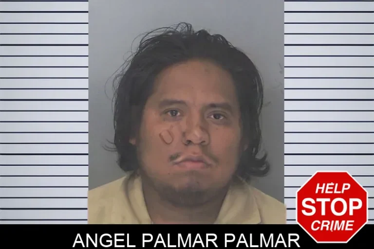 Angel Palmar Palmar mugshot – Douglas County , Georgia Angel Palmar Palmar