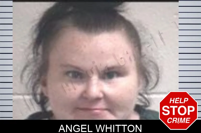 Angel Whitton mugshot