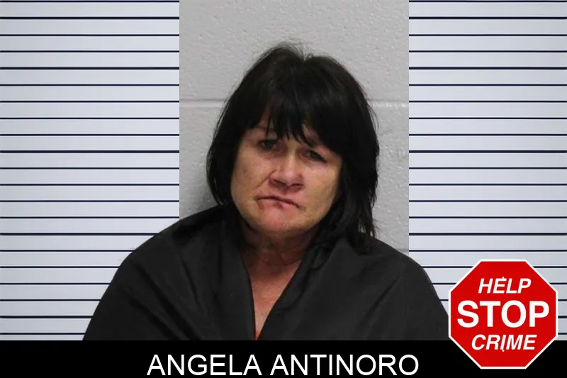 Angela Antinoro Mugshots