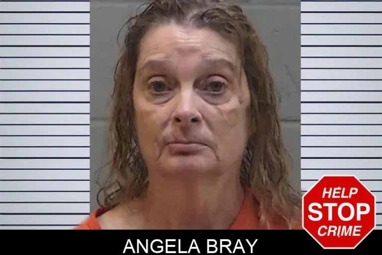 Angela Bray mugshot – Madison County , Georgia Angela Bray