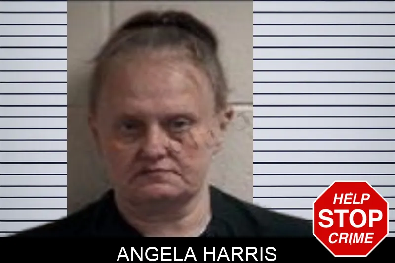 Angela Harris
