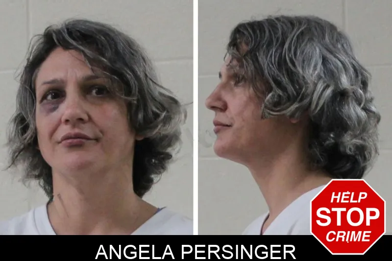 Angela Persinger Mugshots