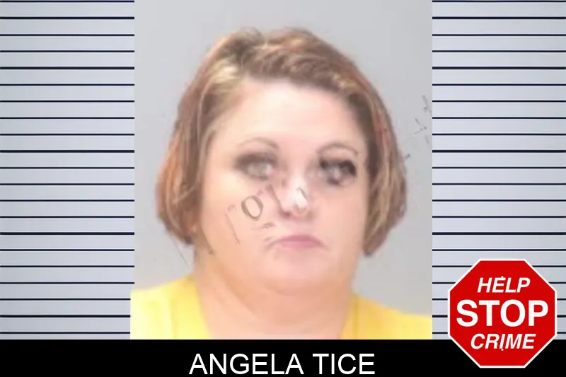Angela Tice mugshot