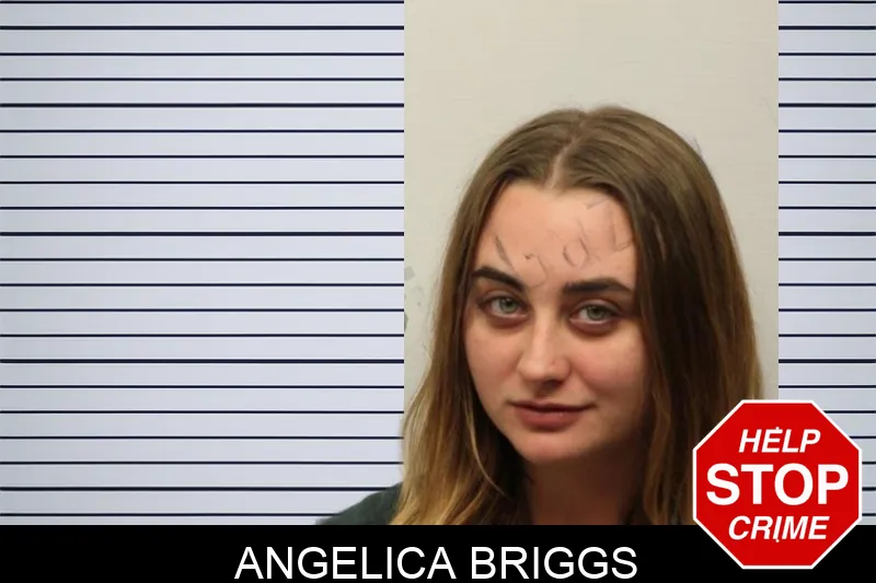 Angelica Briggs mugshot