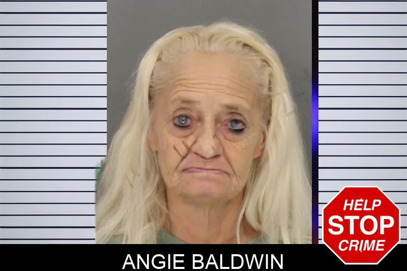 Angie Baldwin mugshot – Cobb County , Georgia Angie Baldwin mugshot