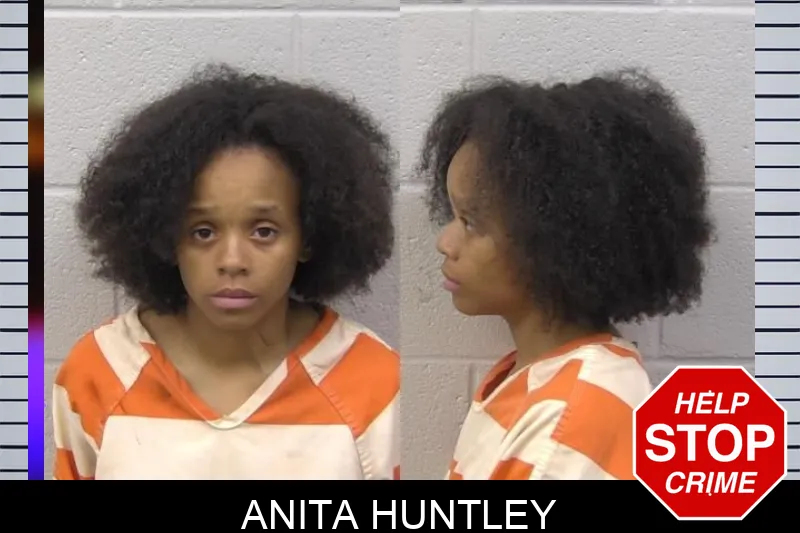 Anita Huntley Mugshots