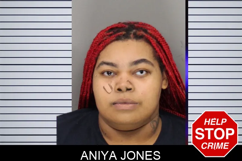 Aniya Jones mugshot – Cobb County , Georgia Aniya Jones mugshot