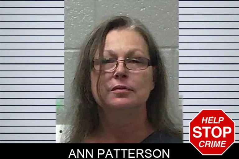 Ann Patterson mugshot – Gilmer County , Georgia Ann Patterson