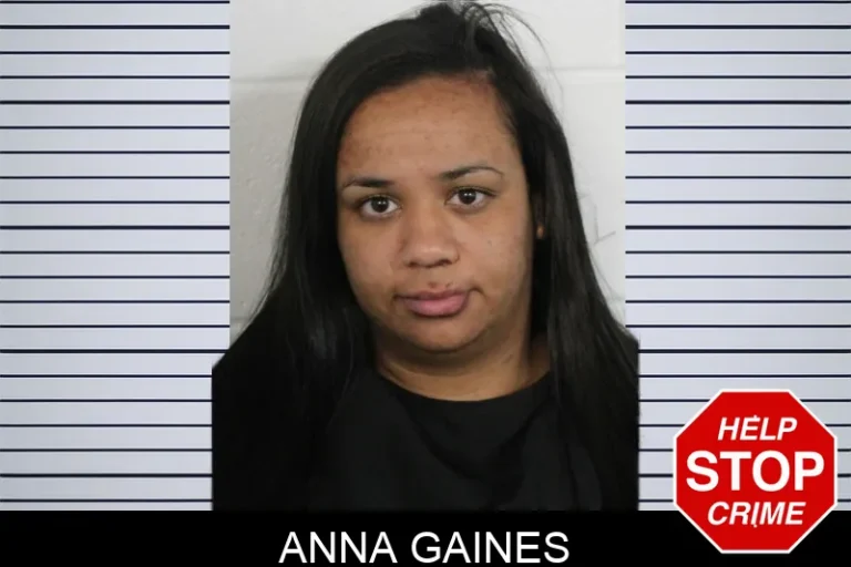 Anna Gaines mugshot – Floyd County , Georgia Anna Gaines