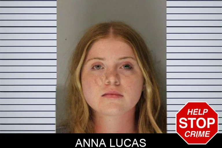 Anna Lucas mugshot – Hall County , Georgia Anna Lucas